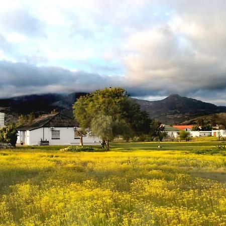 Harry'S Place Guesthouse Kamieskroon المظهر الخارجي الصورة