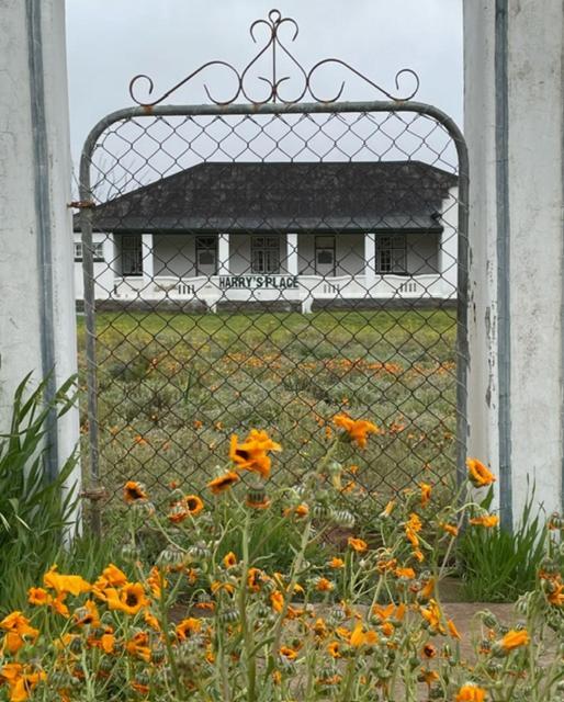 Harry'S Place Guesthouse Kamieskroon المظهر الخارجي الصورة